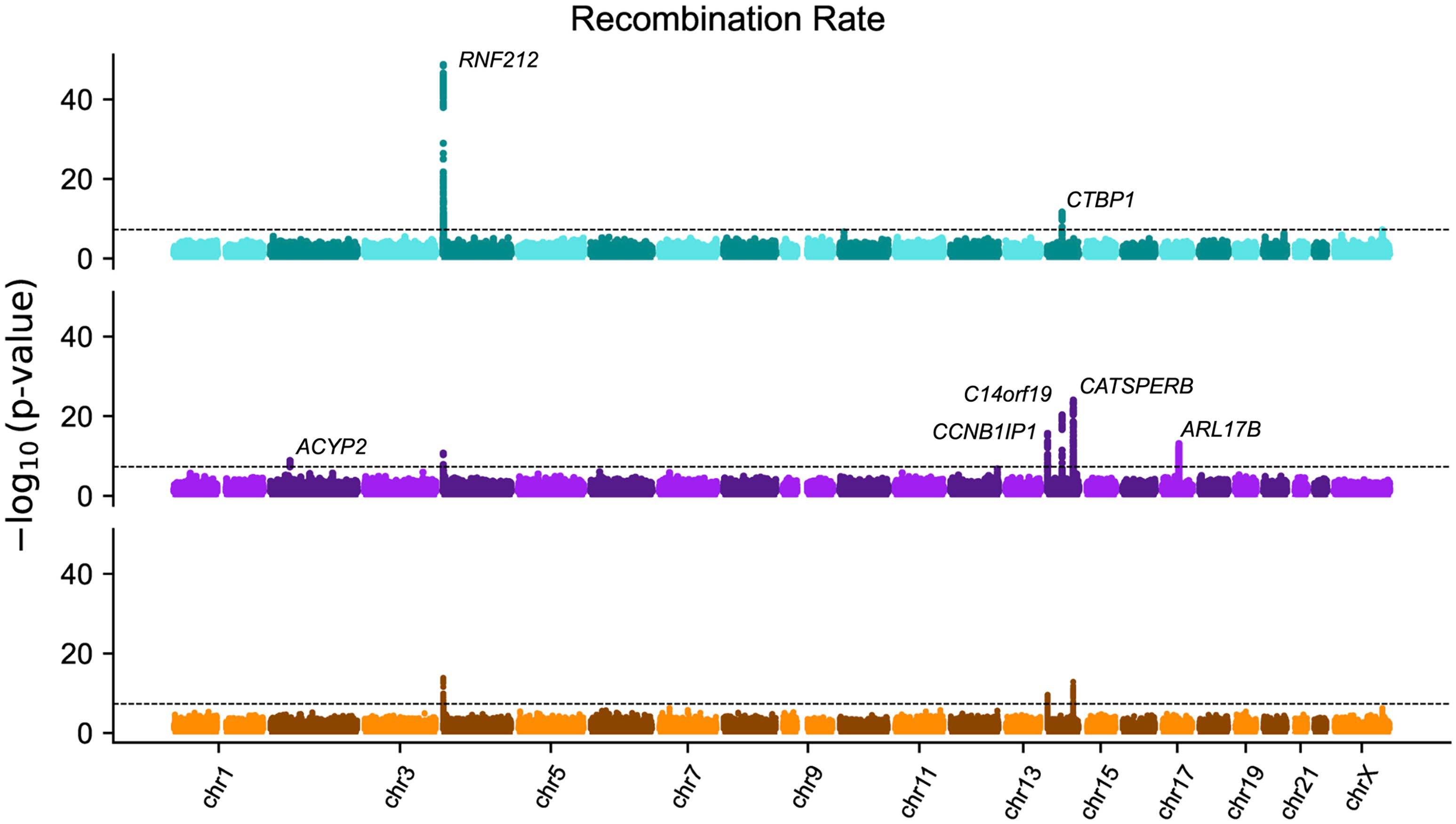 Figure 4 - Genetic Architecture