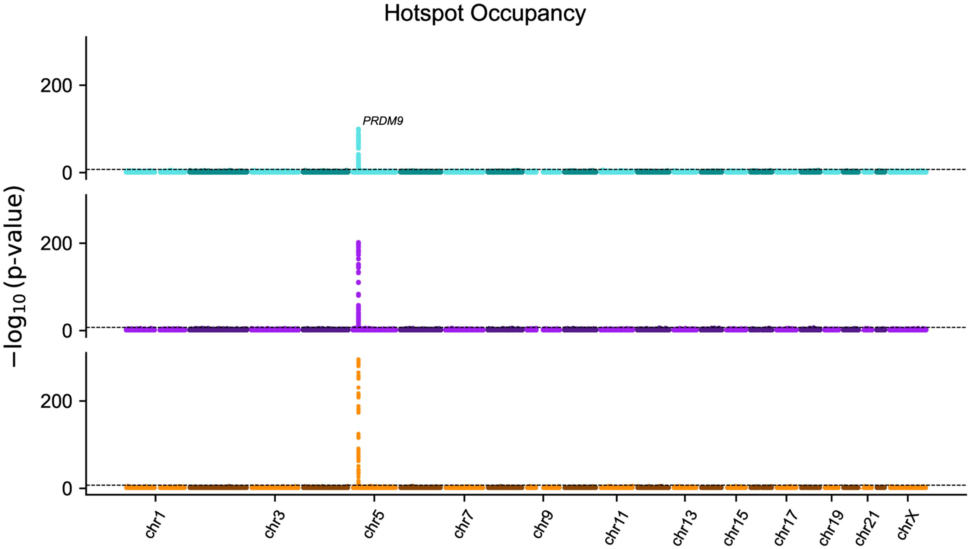 Figure 5 - PRDM9 Association