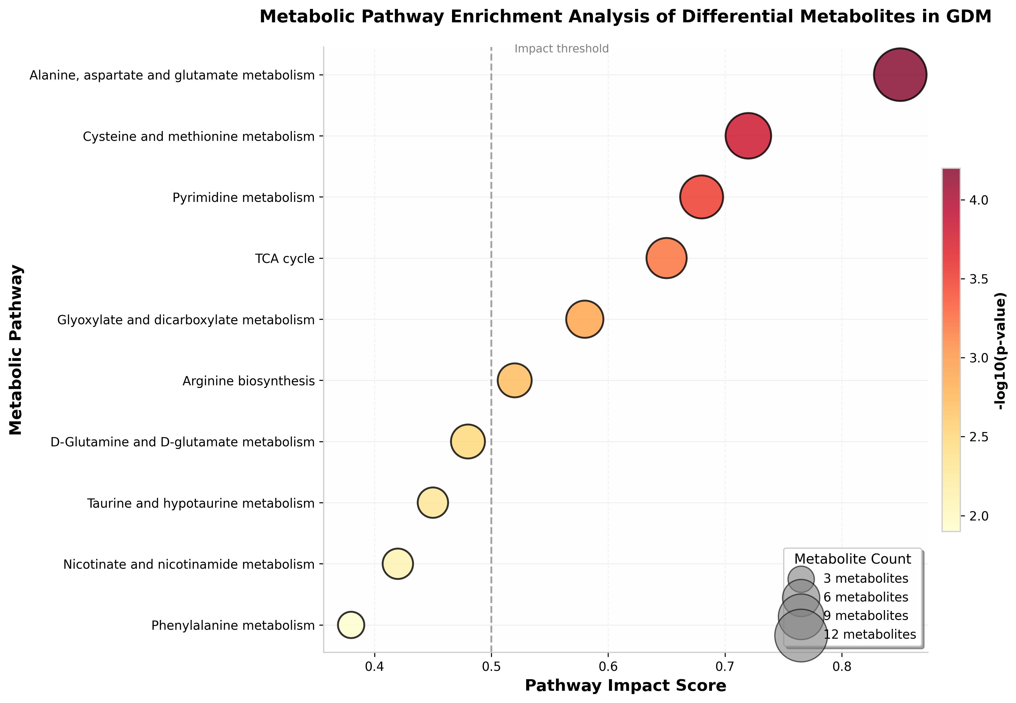 代谢通路富集图