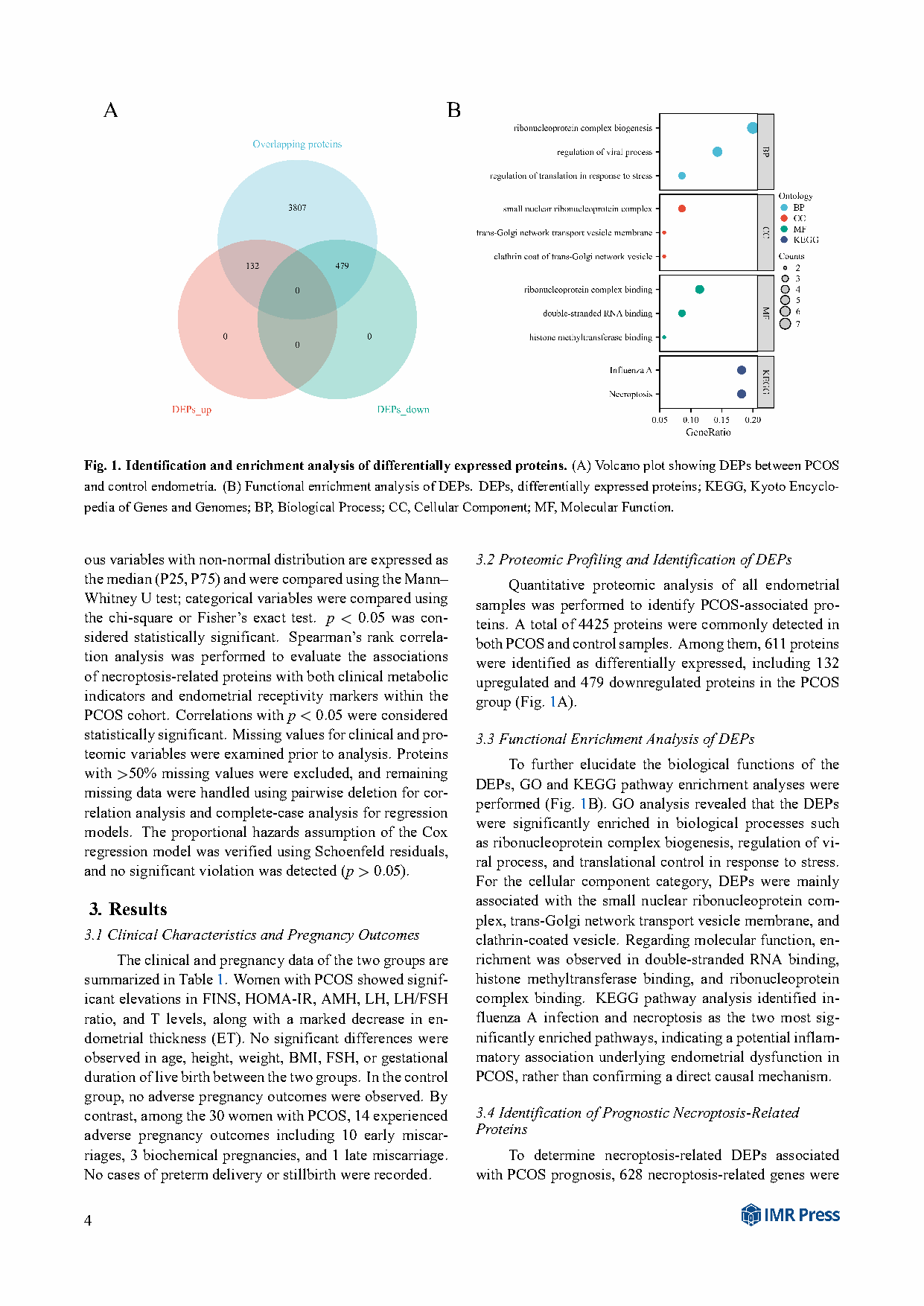 差异表达蛋白火山图和KEGG富集分析