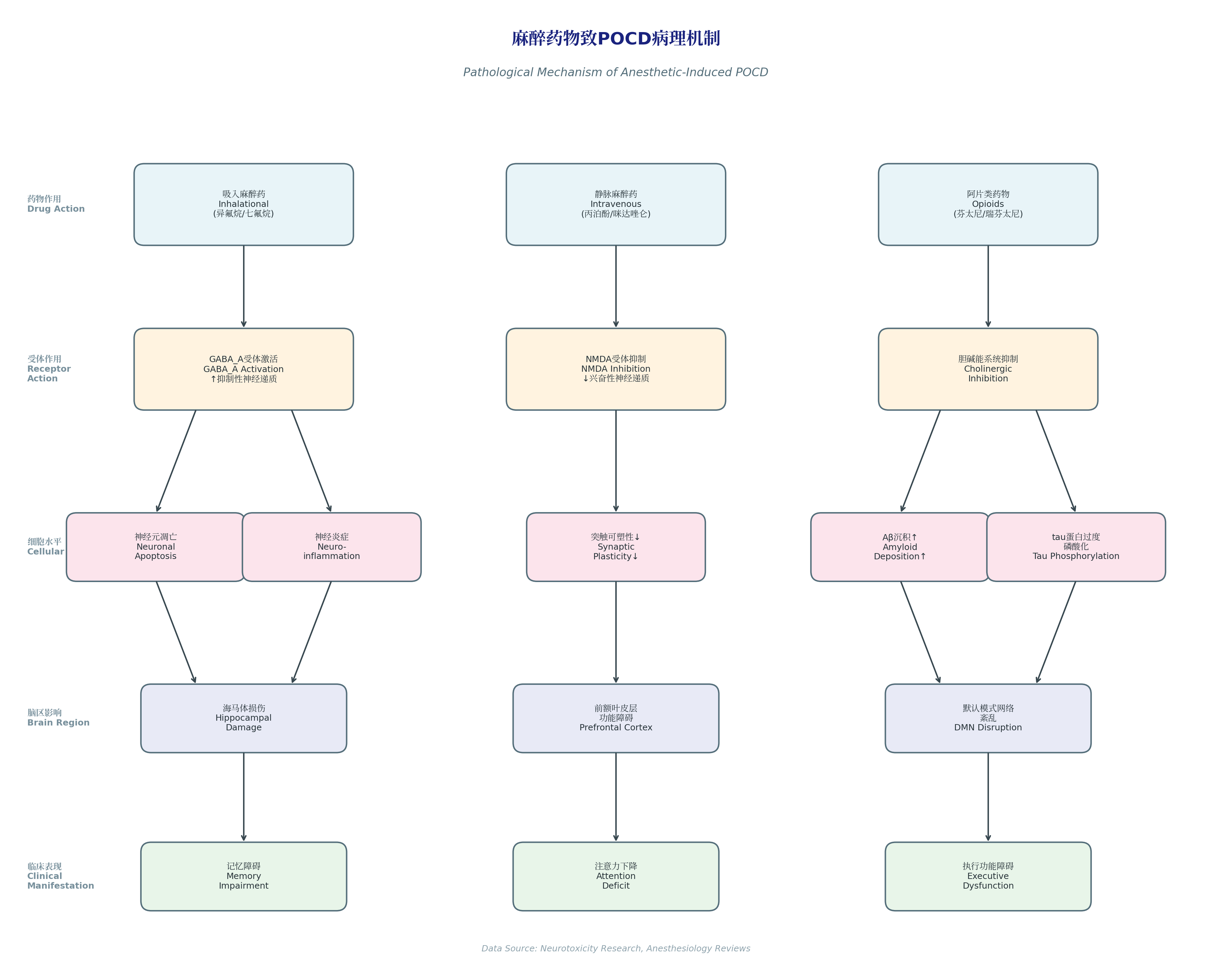Pathological Mechanism of Anesthetic-Induced POCD