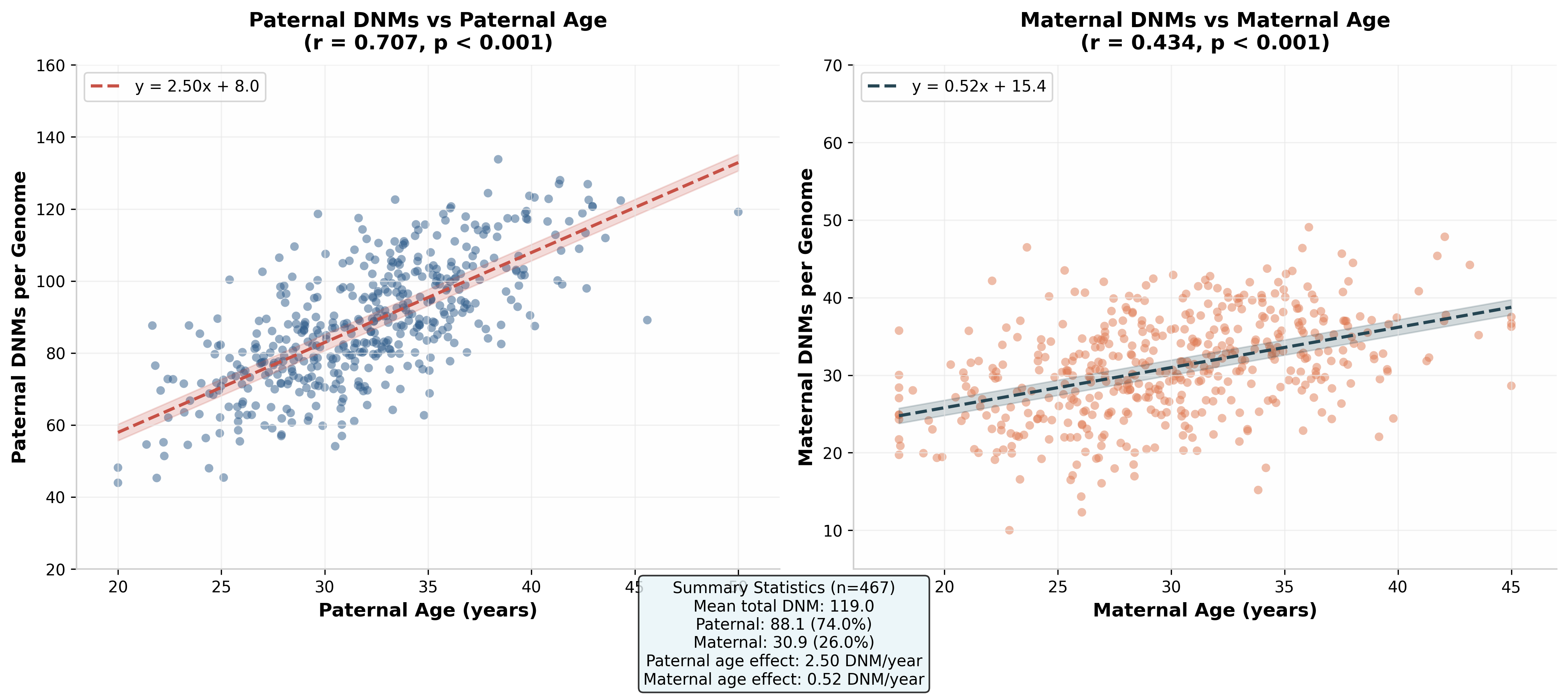 新发突变与年龄关系