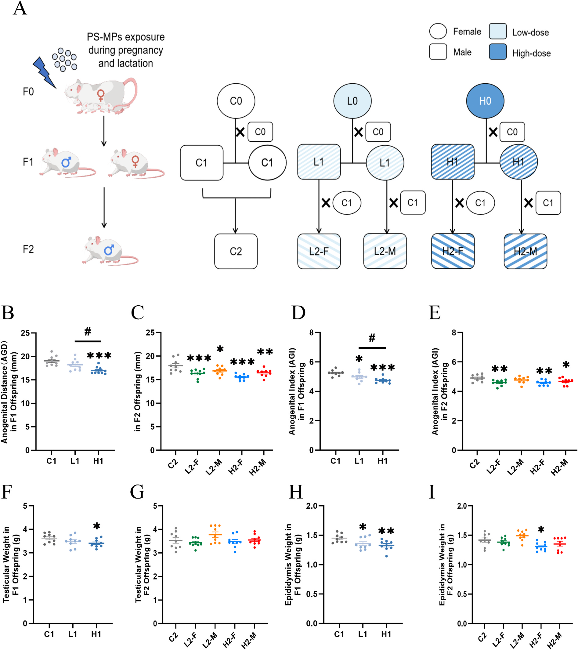 实验设计与生殖发育指标