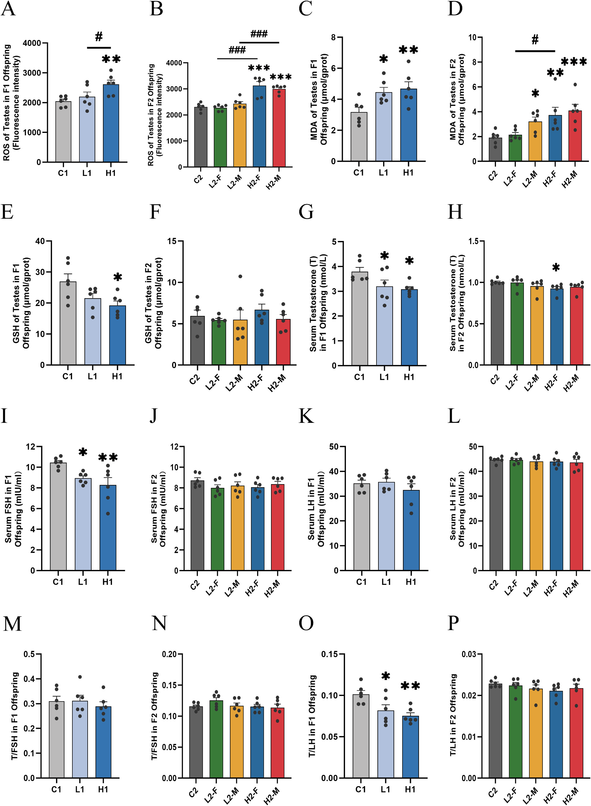 氧化应激与激素水平
