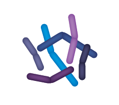 染色体结构示意图